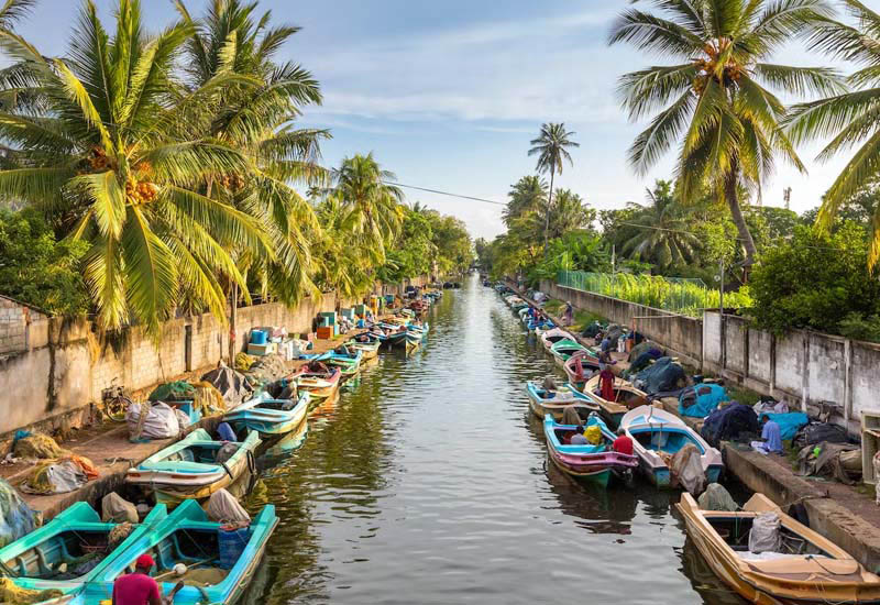 Cultural performances