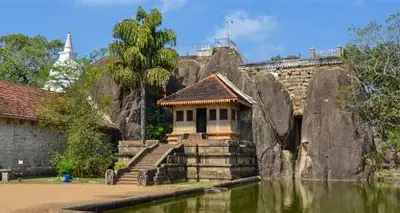 Cultural performances